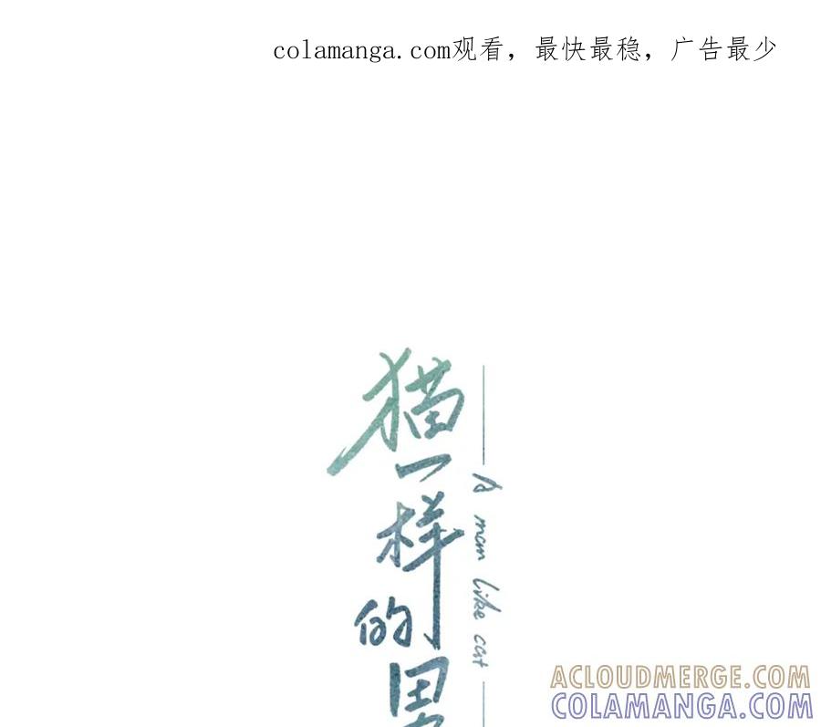 猫一样的男人 第41话 一切都没有变 第1页