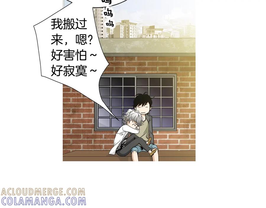 猫一样的男人 第55话 一辈子的伤痛 第43页