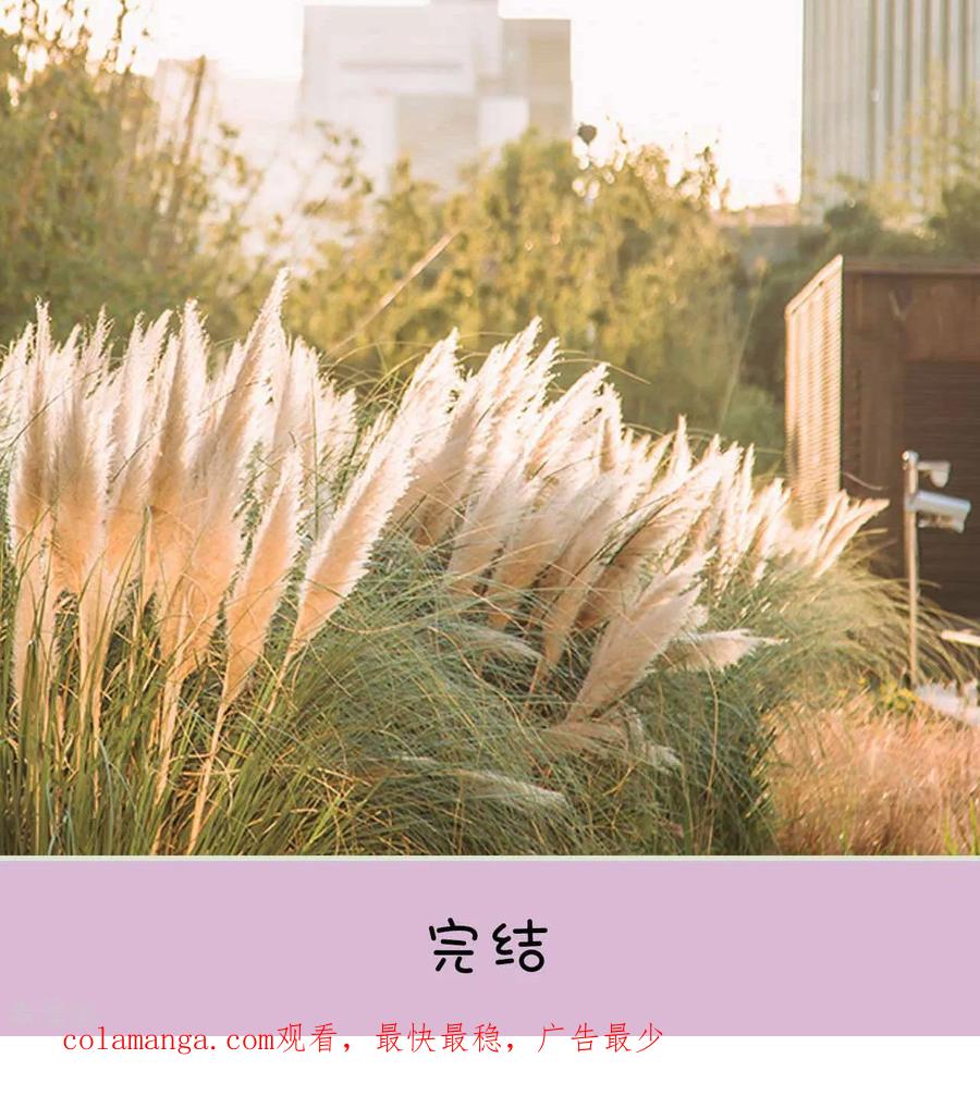 《医冠楚楚》最终话 第24页