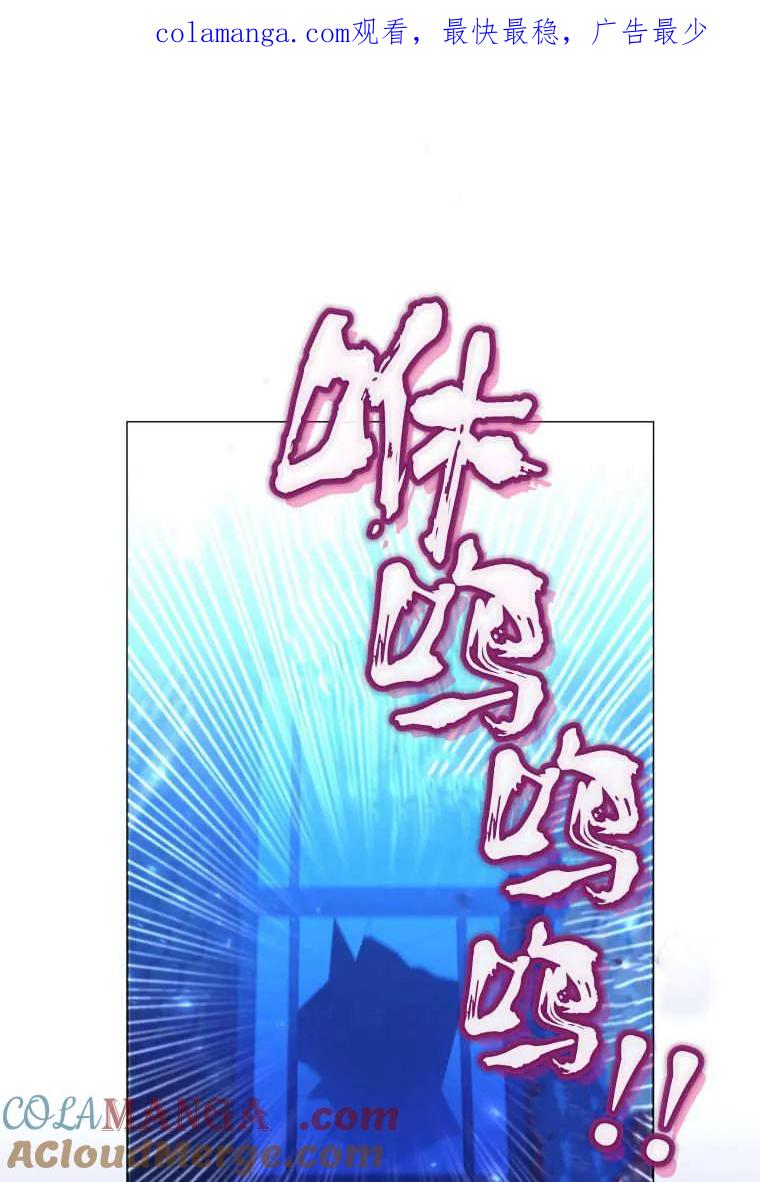 黑幕虎鲸宝宝 第46话 第1页