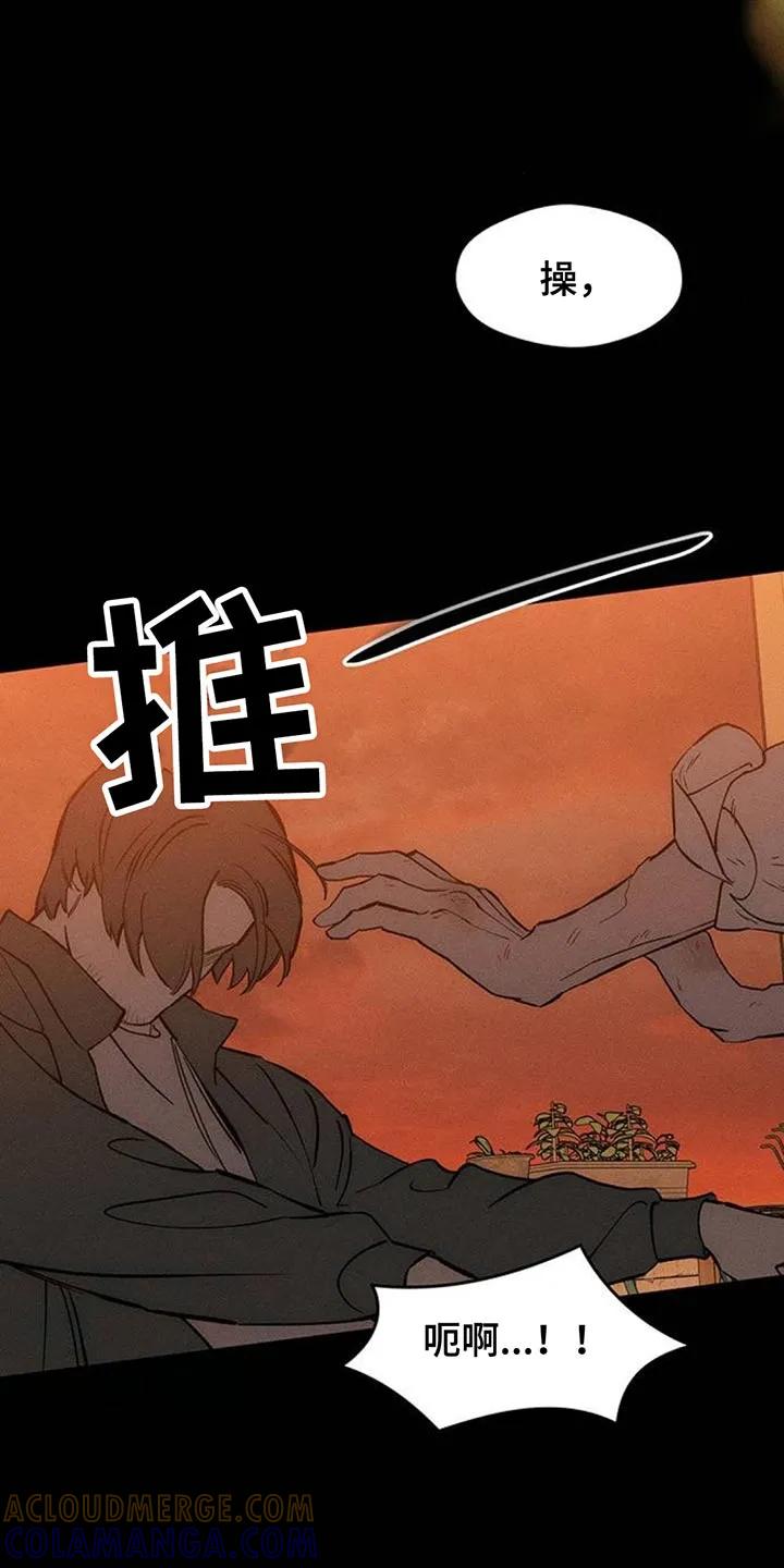 枯萎的花伤心的泪 第182章：贫穷的爱情 第5页