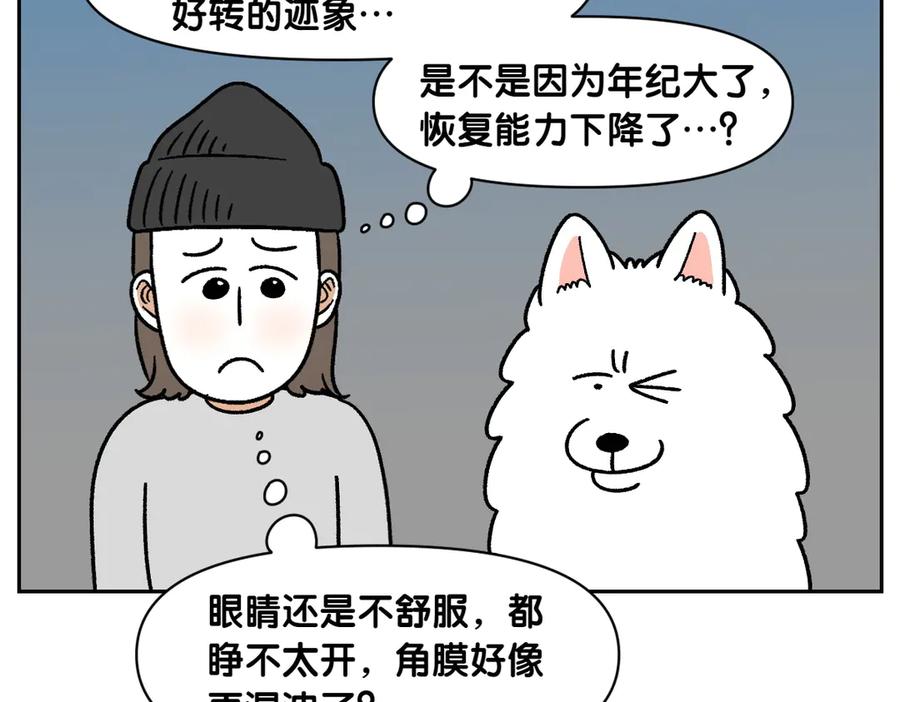 《我的狗子叫棉花》第43话 治疗眼病(2) 第23页