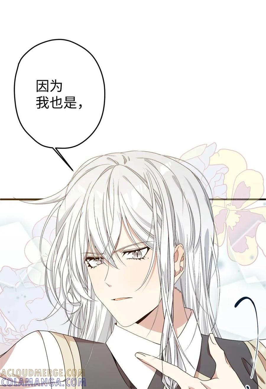 《虽然是魂穿游戏世界里女主的姐粉》30 笼中鹦鹉 第19页