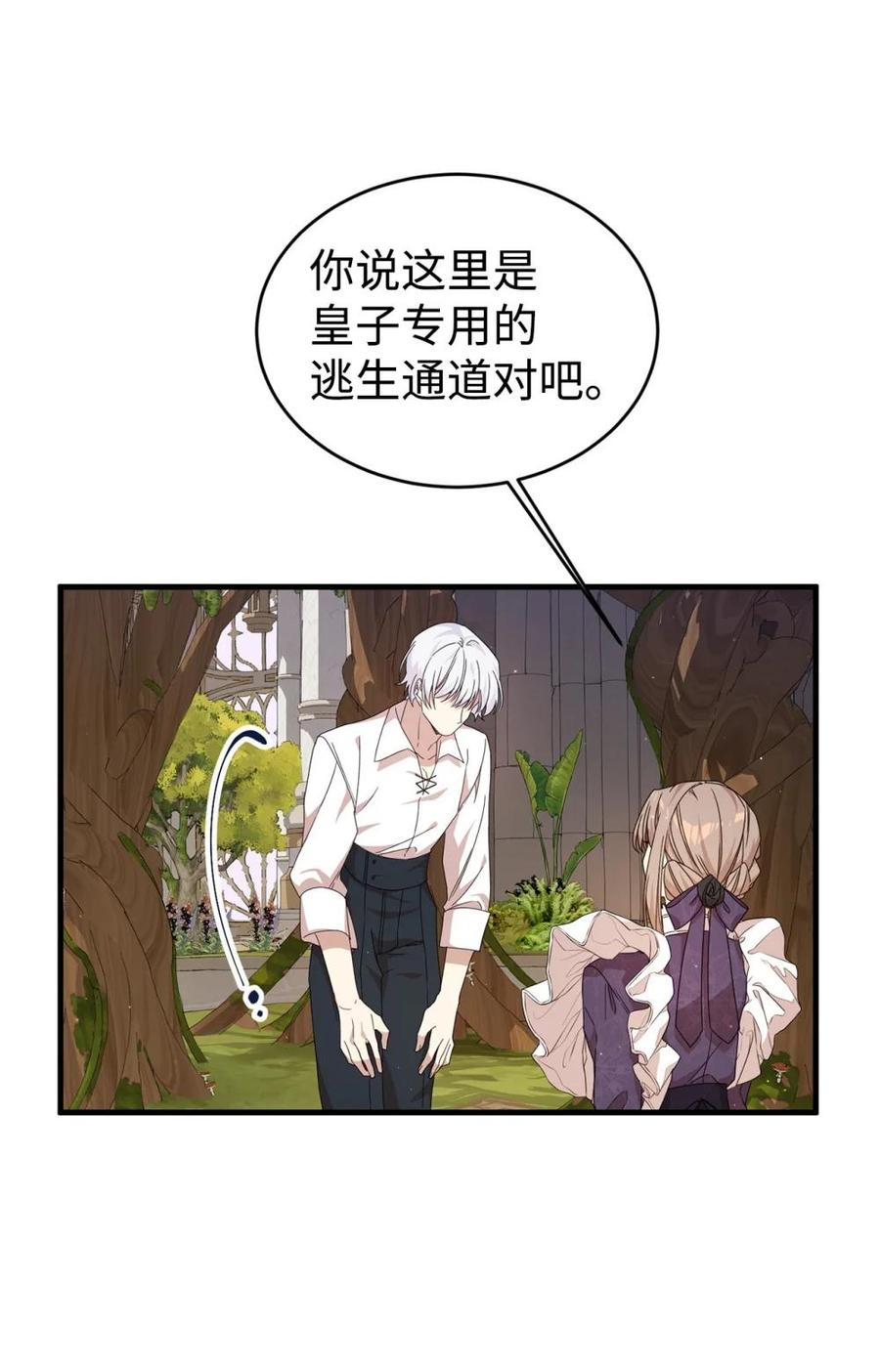 《虽然是魂穿游戏世界里女主的姐粉》34 偶遇伦 第80页