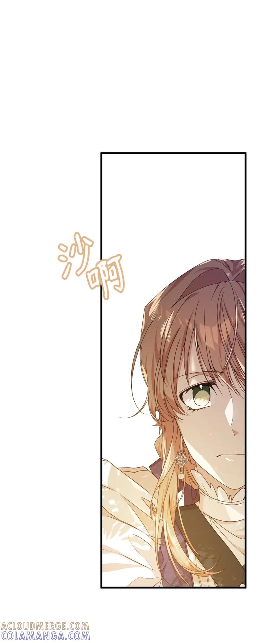 《虽然是魂穿游戏世界里女主的姐粉》34 偶遇伦 第79页