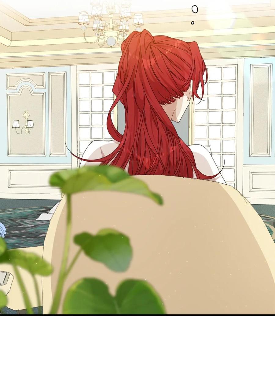 《虽然是魂穿游戏世界里女主的姐粉》36 伯爵夫人 第67页