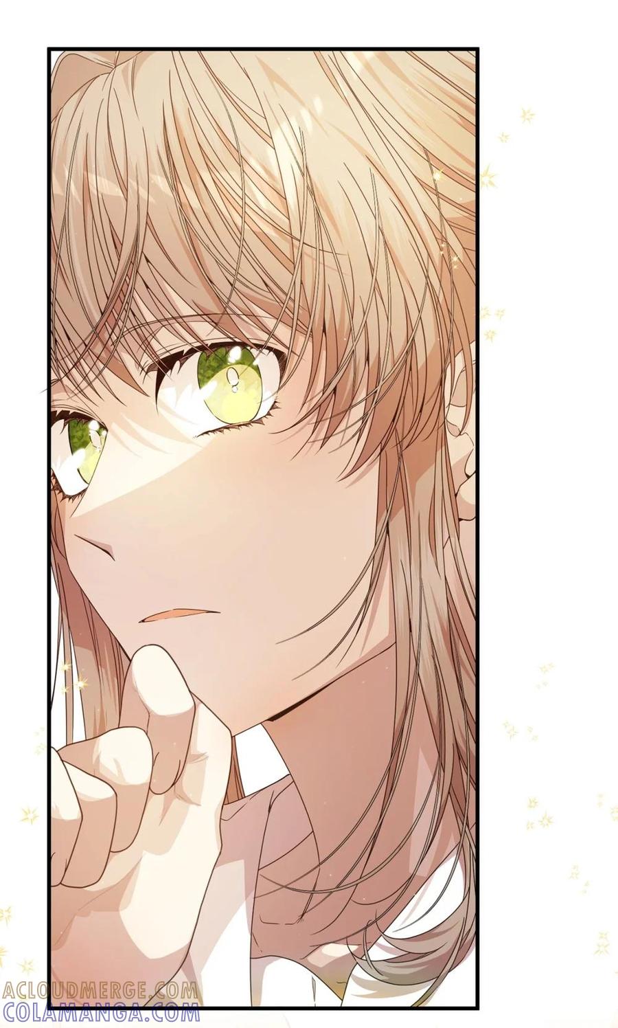 《虽然是魂穿游戏世界里女主的姐粉》36 伯爵夫人 第53页