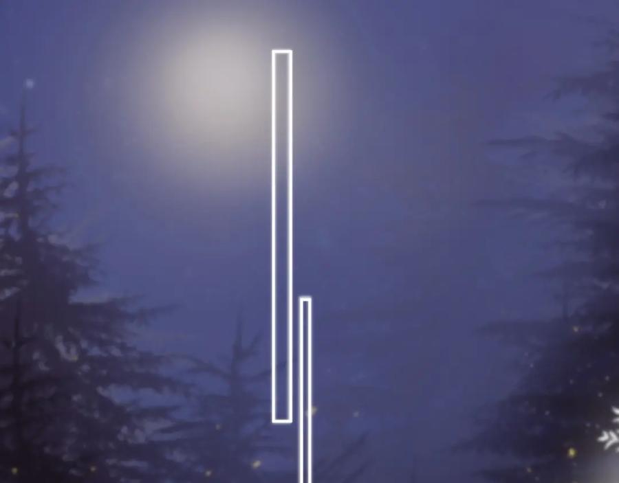 35.jpg