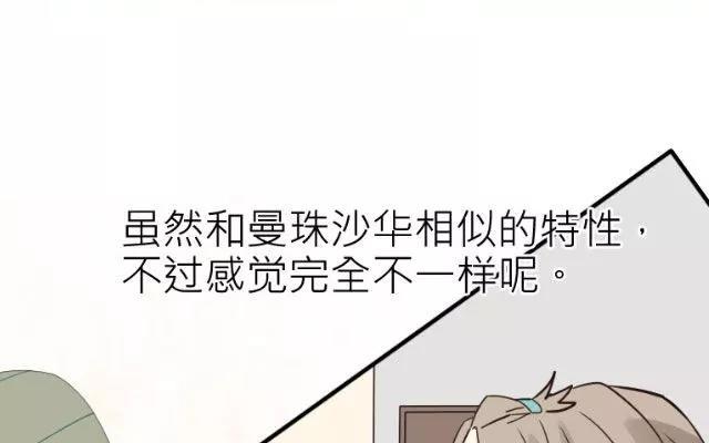 《花与灼眼之爱》第23话 河边的花 第28页