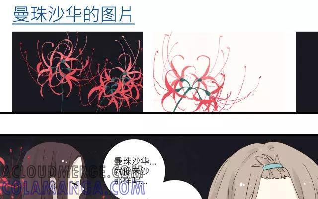 《花与灼眼之爱》第23话 河边的花 第17页