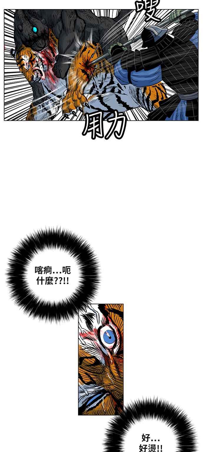 虎大哥 - [第139话] 扶养山君的老虎1 (2) - 第11张图