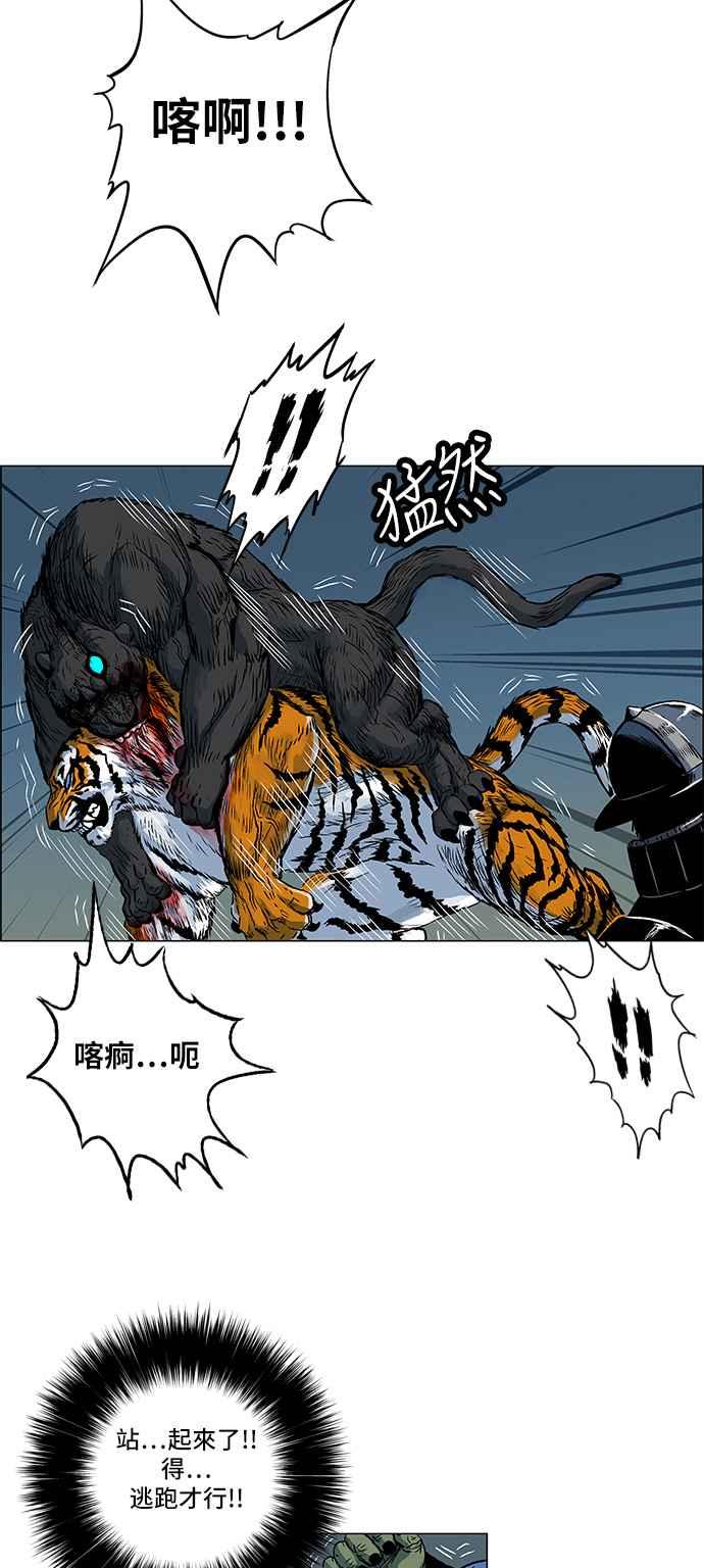 虎大哥 - [第139话] 扶养山君的老虎1 (2) - 第9张图