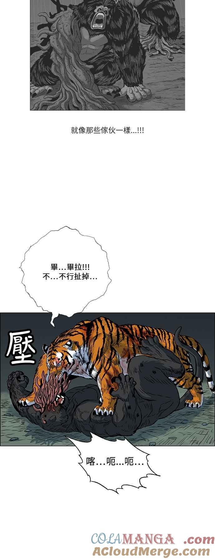 虎大哥 - [第141话] 扶养山君的老虎2 (2) - 第11张图