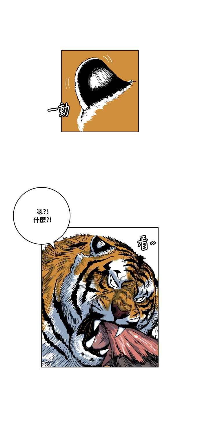 虎大哥 - [第2季] 第20话 裨簪团的袭击 1 - 第16张图