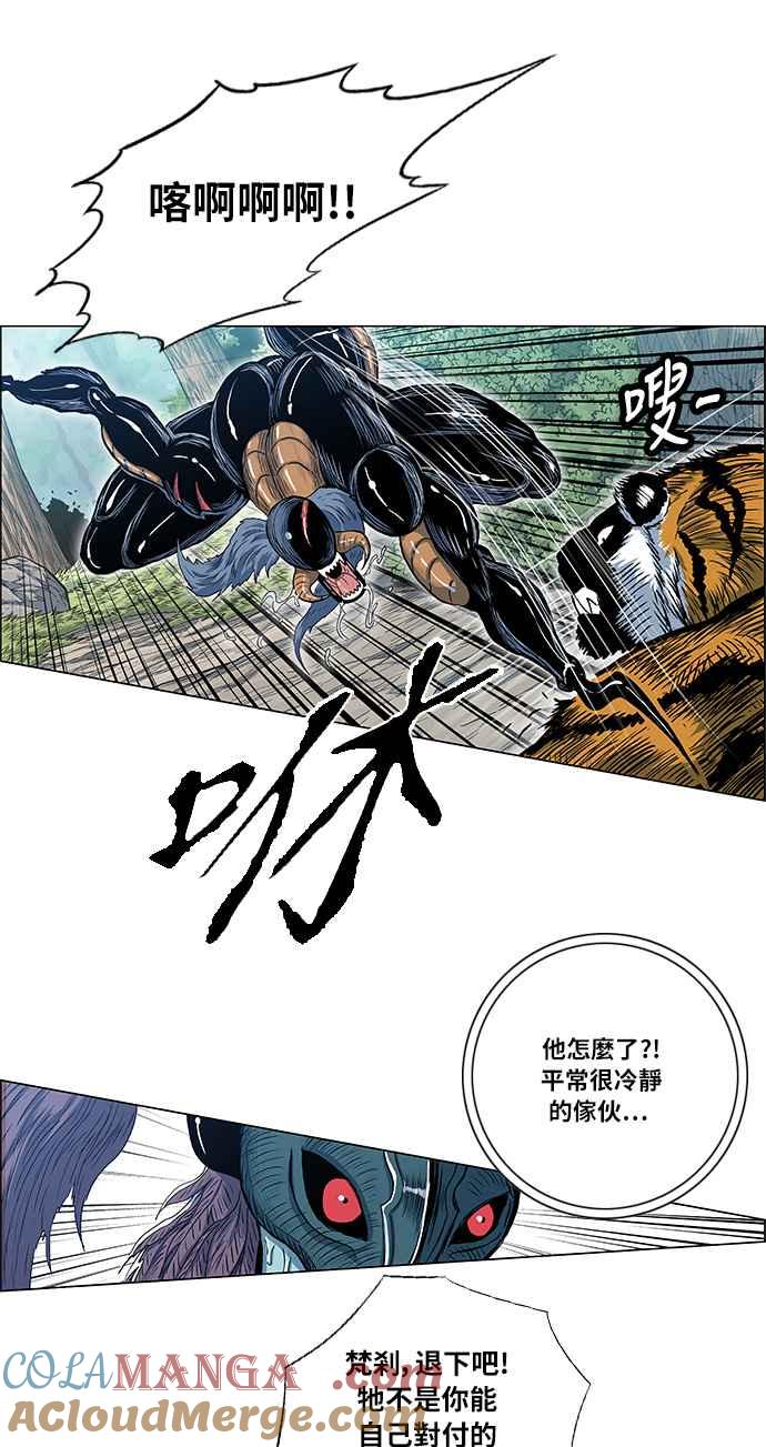 虎大哥 - [第2季] 第46话 鸩鸟 天南星2 - 第49张图