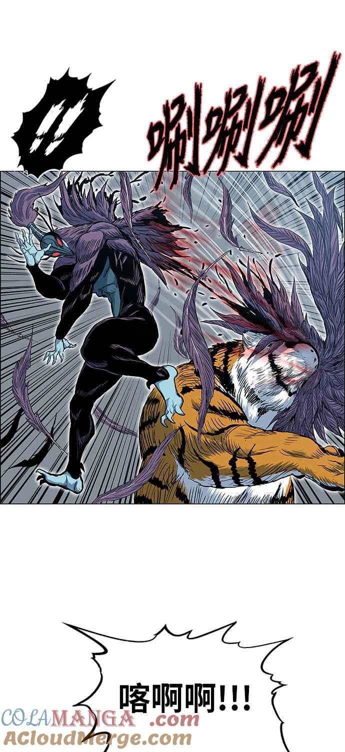 虎大哥 - [第2季] 第46话 鸩鸟 天南星2 - 第19张图