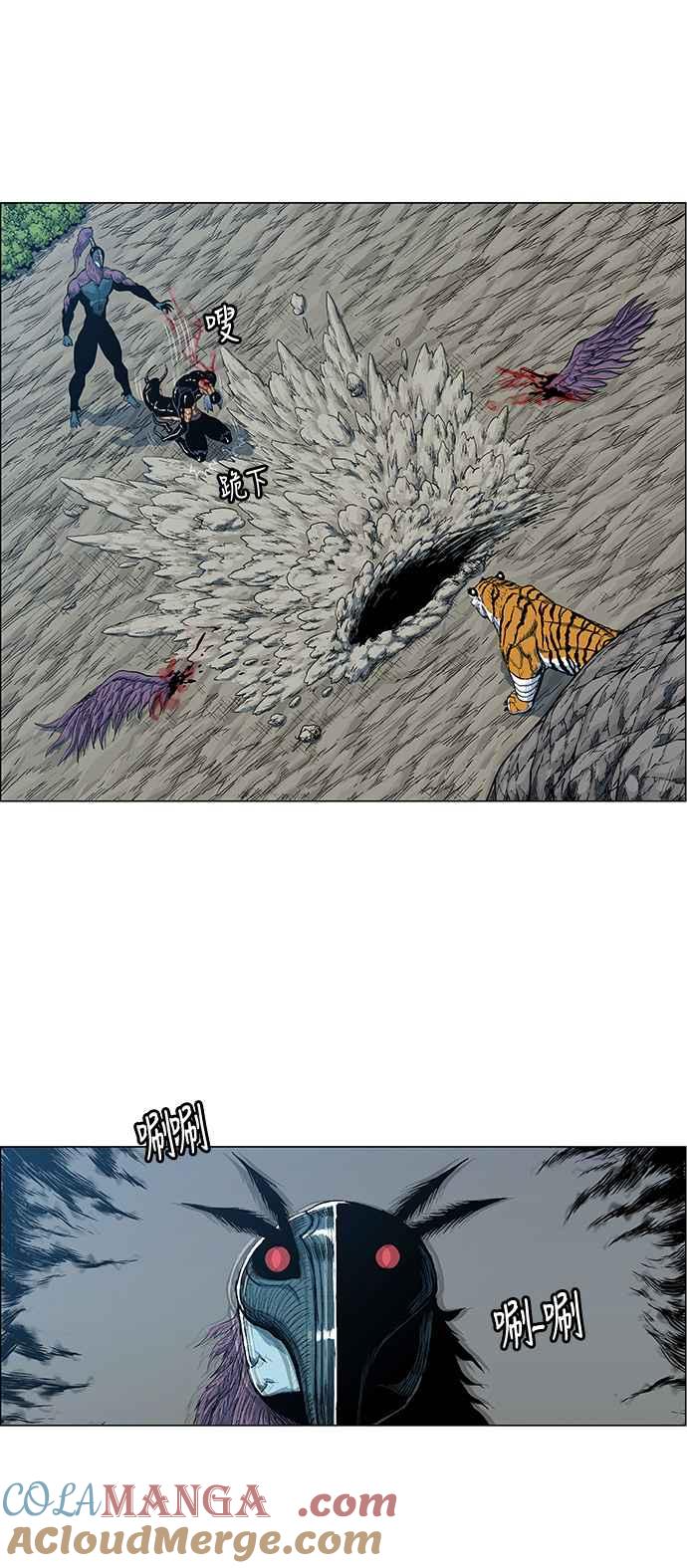 虎大哥 - [第2季] 第47话 鸩鸟 天南星3 - 第10张图