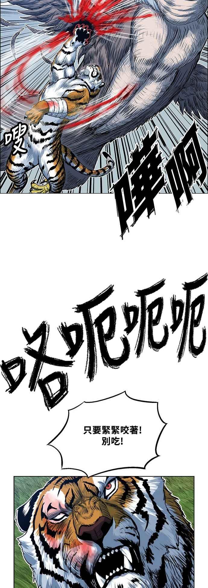 虎大哥 - [第2季] 第49话 比翼鸟 - 第17张图