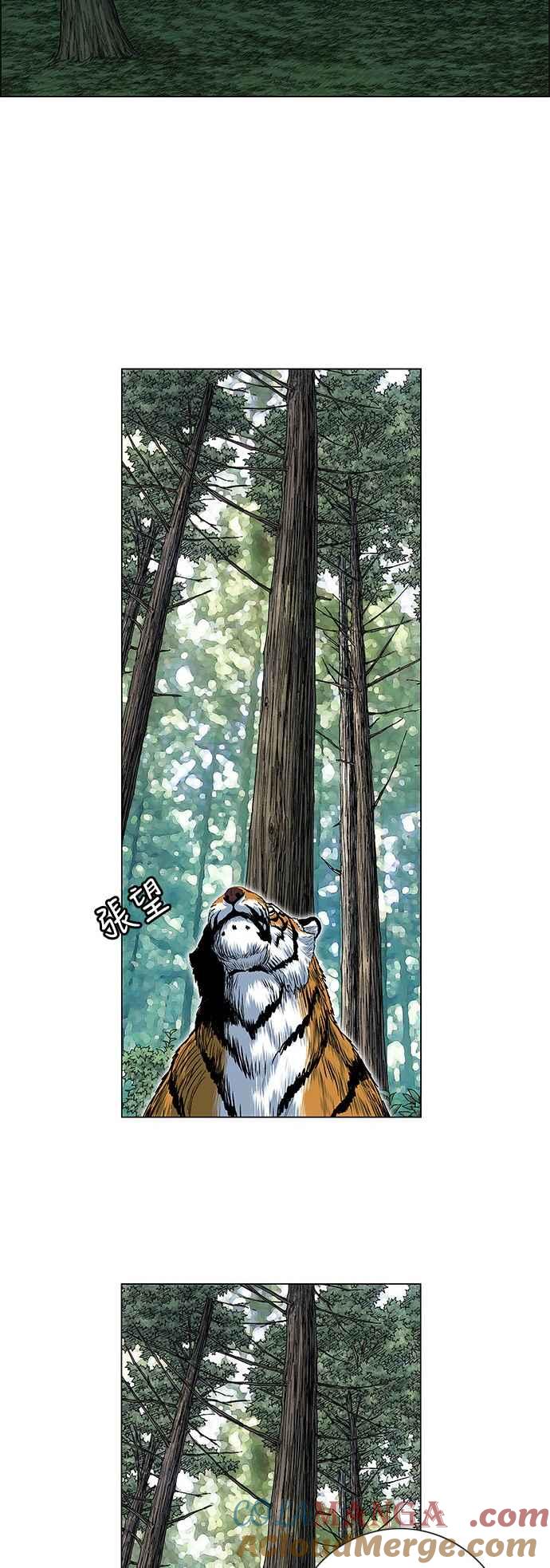 虎大哥 - [第2季] 第50话 救出无葛吧! 1 - 第15张图