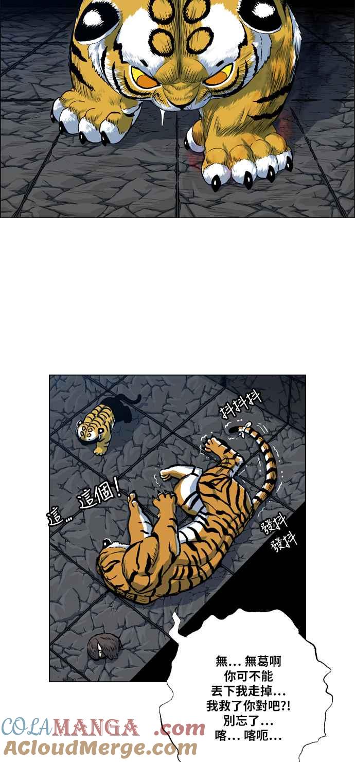 虎大哥 - [第2季] 第58话 讐仇 4 - 第43张图