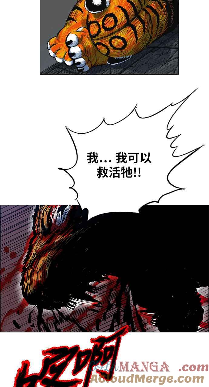 虎大哥 - [第2季] 第62话 复仇 1 - 第24张图