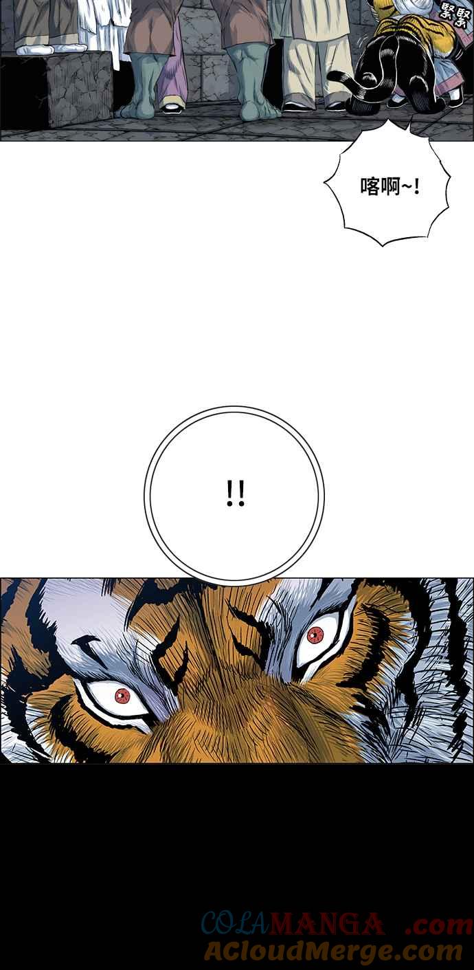 虎大哥 - [第2季] 第70话 母鸟 2 - 第16张图