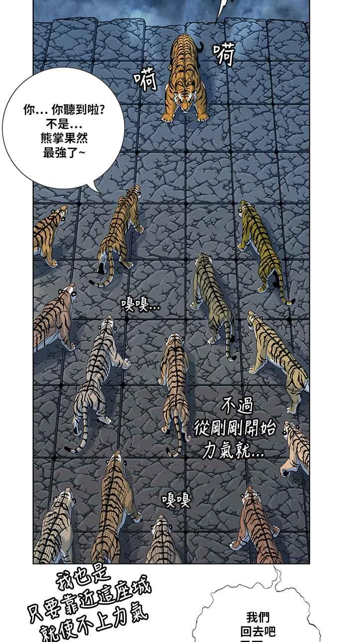 虎大哥 - [第2季] 第101话 灭绝 - 第5张图