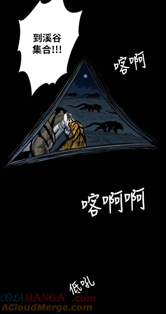 虎大哥 - [第2季] 第101话 灭绝 - 第46张图