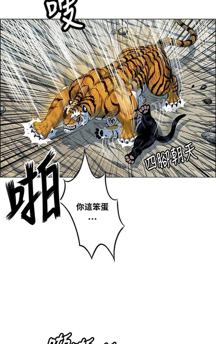 虎大哥 - [第2季] 第107话 兕 2 - 第38张图