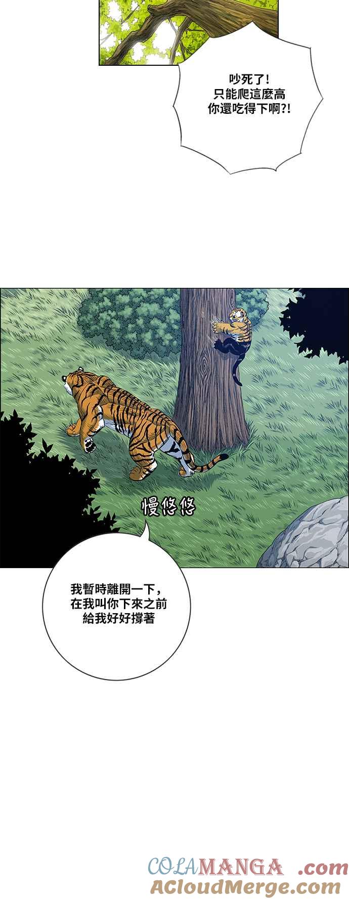 虎大哥 - [第2季] 第116话 萨满之森 2 - 第46张图