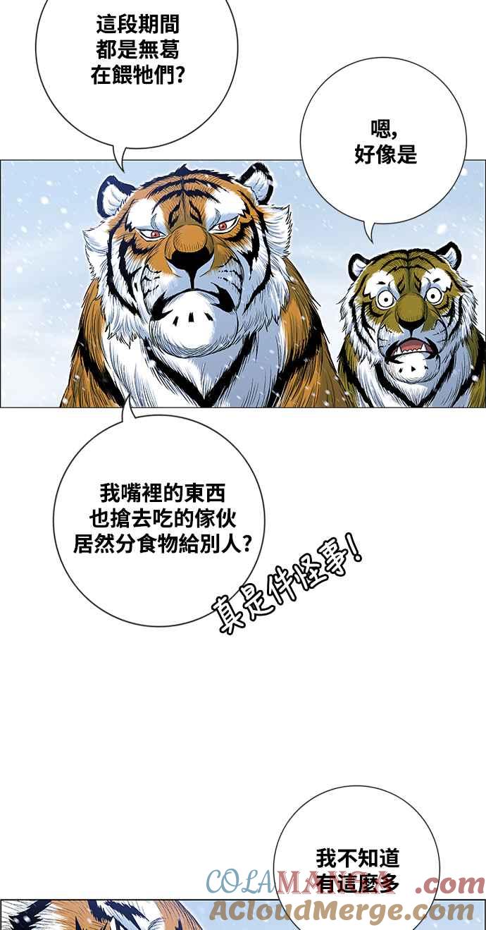 虎大哥 - [第2季] 第218话 逆攻 3 - 第16张图