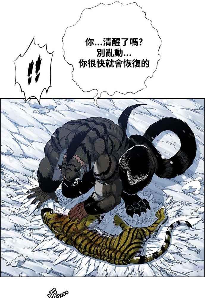 虎大哥 - [第2季] 第224话 逆攻 9 - 第68张图