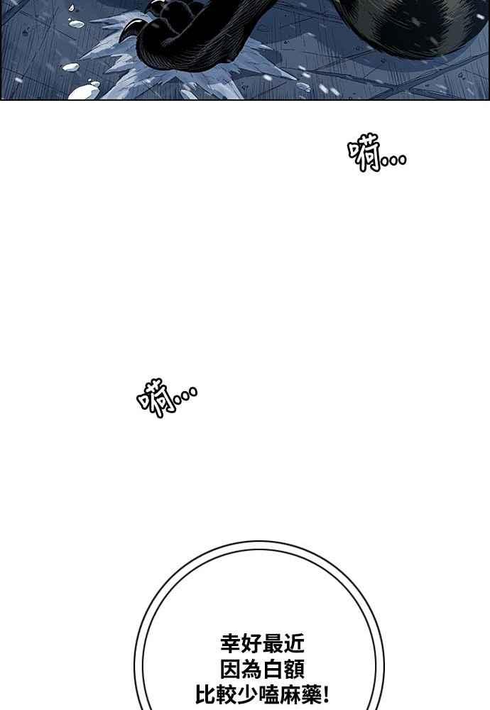 虎大哥 - [第2季] 第225话 逆攻 10 - 第58张图