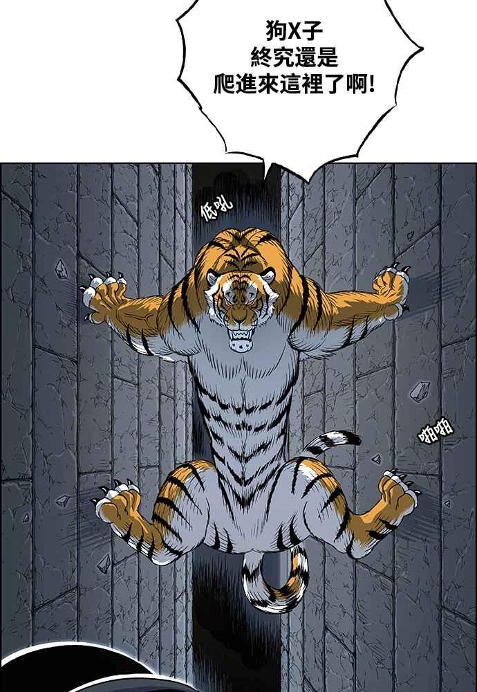 虎大哥 - [第2季] 第244话 聚集至白山 2 - 第66张图