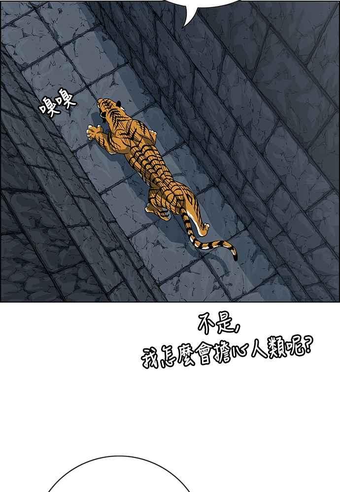 虎大哥 - [第2季] 第244话 聚集至白山 2 - 第51张图