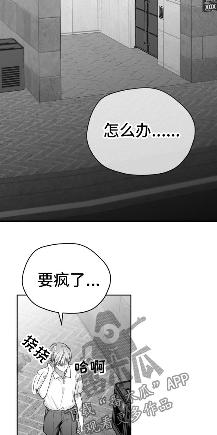 《狂乱欺压》第10章：恋爱通知 第18页