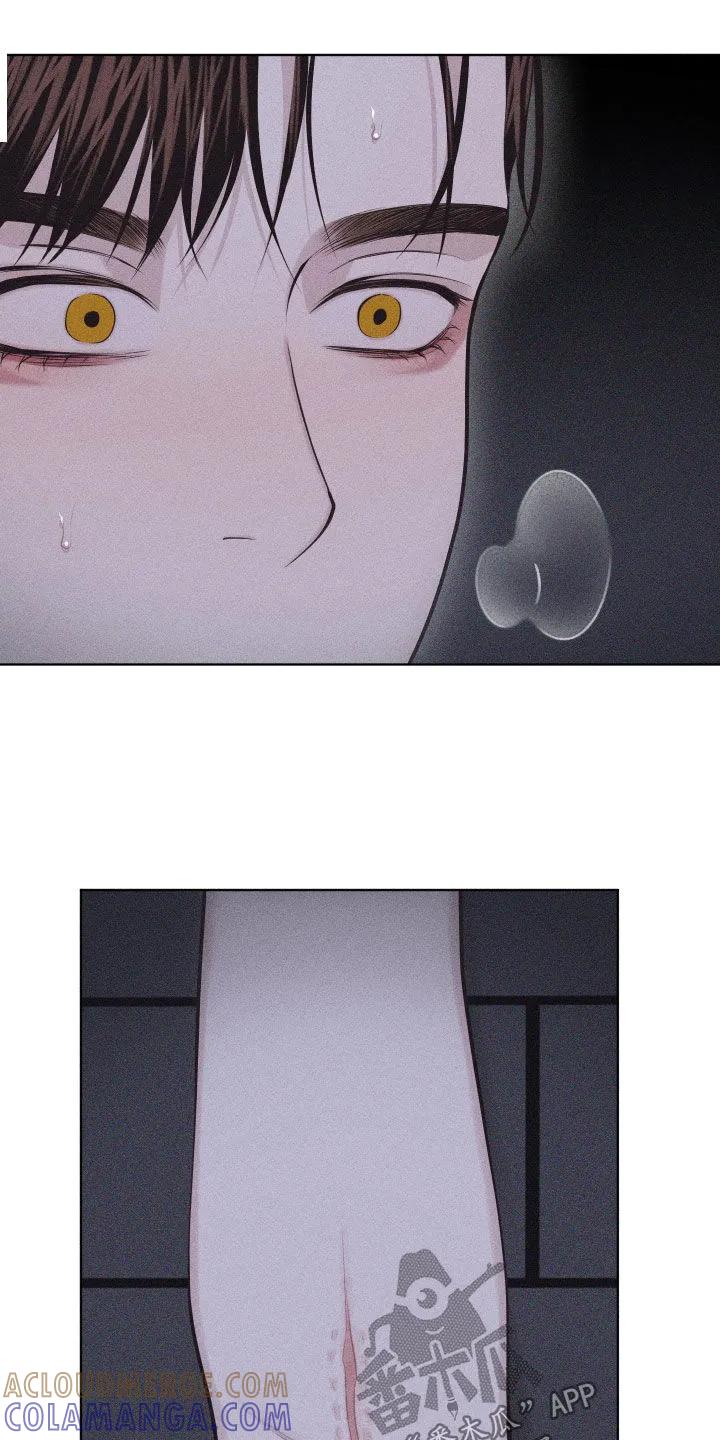《瓷器》第126章：【第三季】邮件 第9页