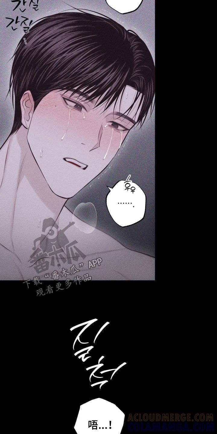 《瓷器》第136章：【第三季】太高兴了 第13页