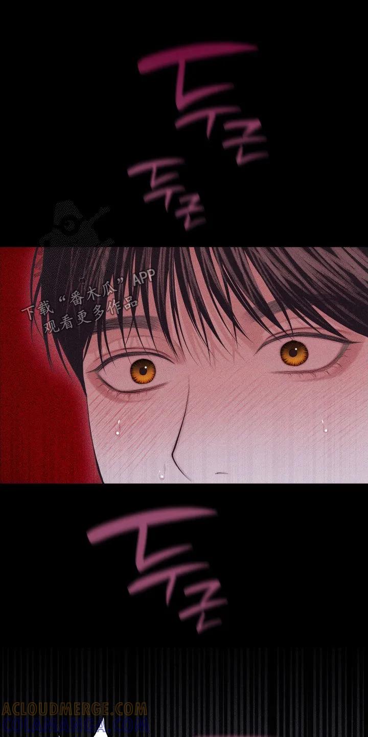 《瓷器》第136章：【第三季】太高兴了 第19页