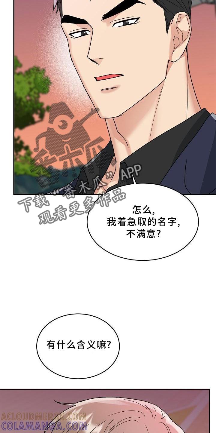 《虎的孩子》第15章：回家吧 第13页