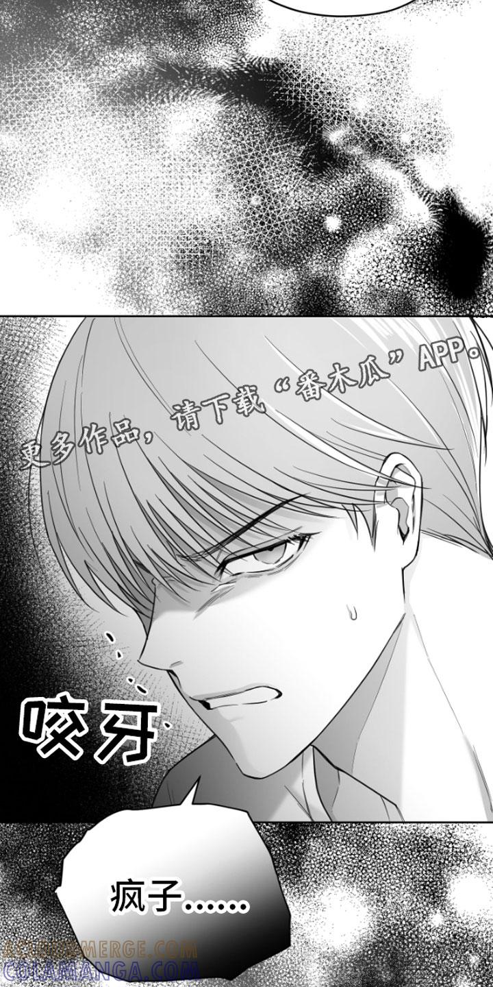 《狂乱欺压》第4章：疯子 第29页