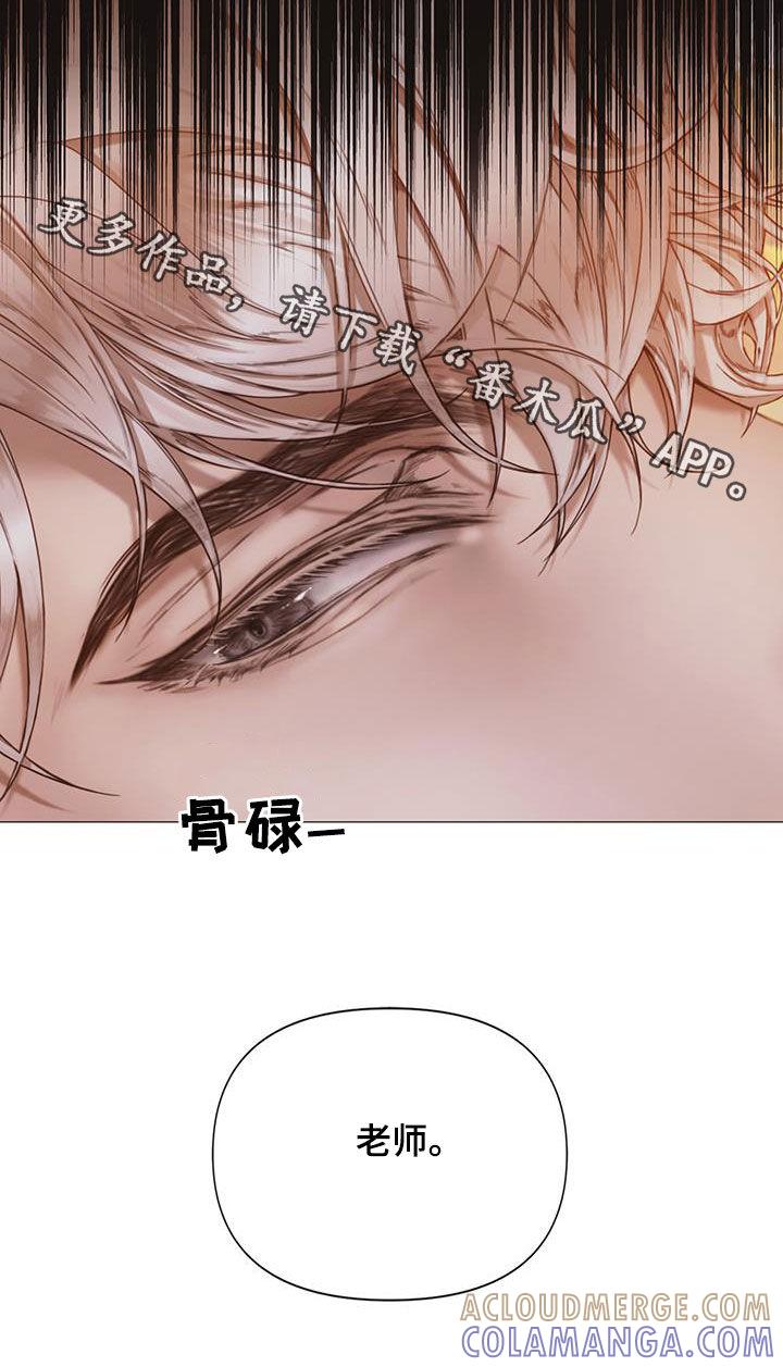 《致命咨询》第84章：【第二季】弱点 第19页