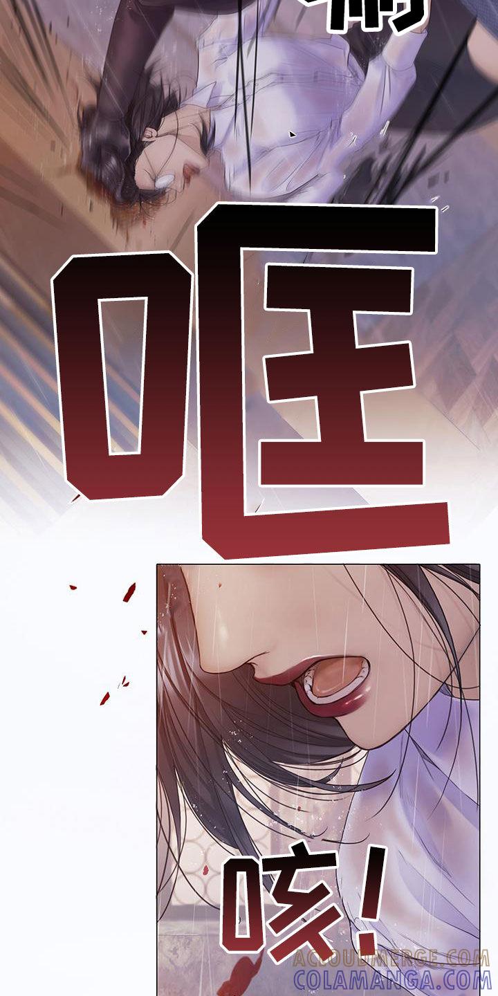 《致命咨询》第87章：【第二季】谁指使的 第17页