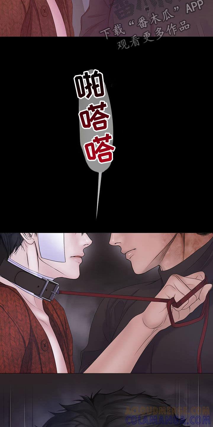 《致命咨询》第97章：【第二季】重新开始 第3页