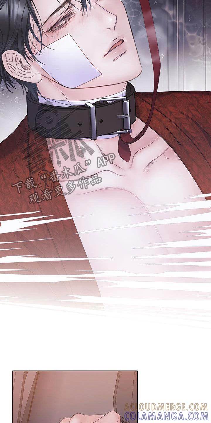 《致命咨询》第97章：【第二季】重新开始 第5页