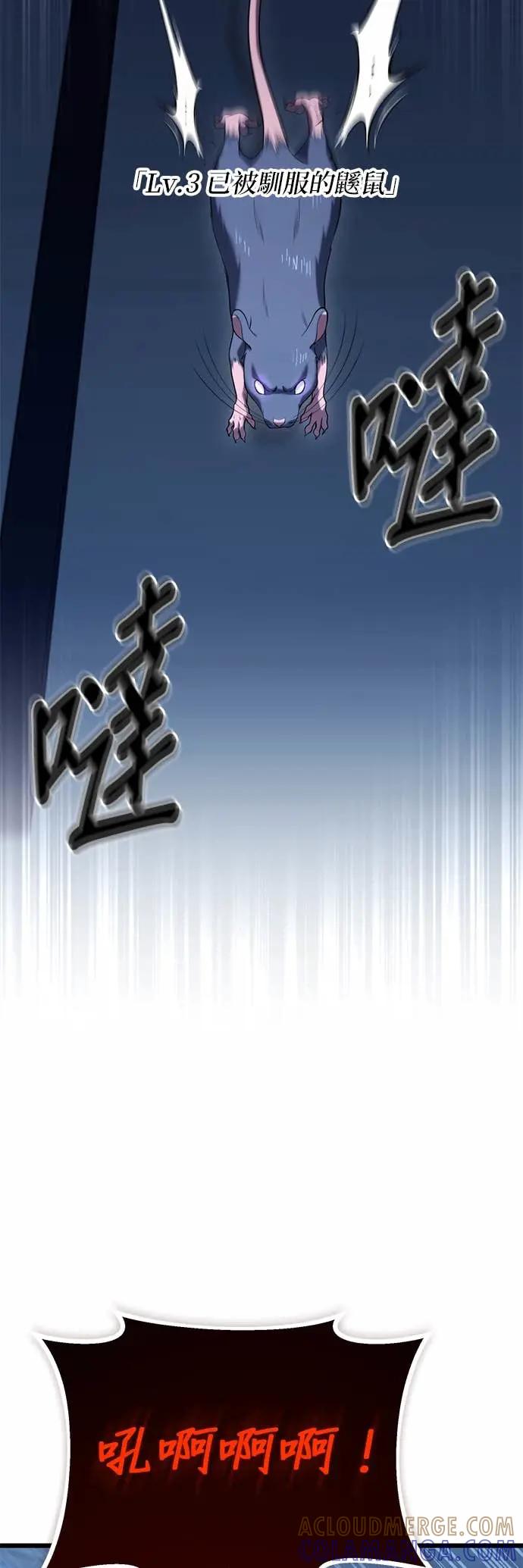 《家之王者》第35话 第40页