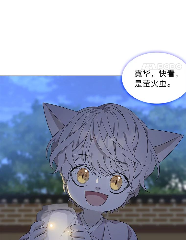《魅惑狐狸》11.不言放弃小白狐 第48页