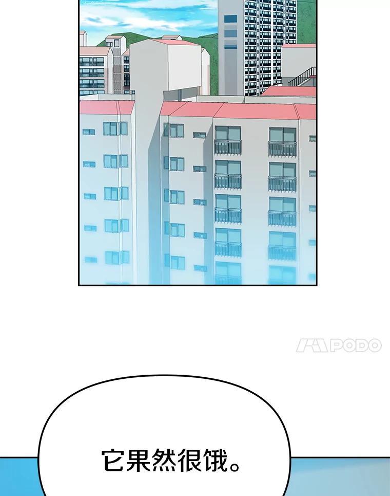 《彩虹桥守望者》143.幸福的一天 第39页