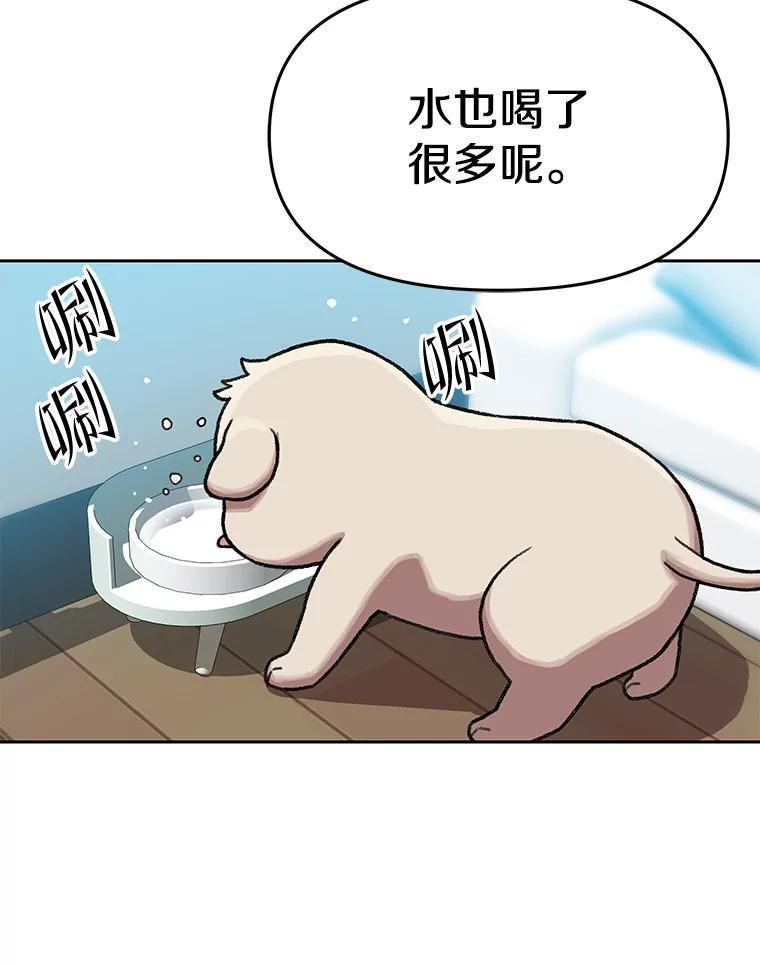 《彩虹桥守望者》143.幸福的一天 第41页