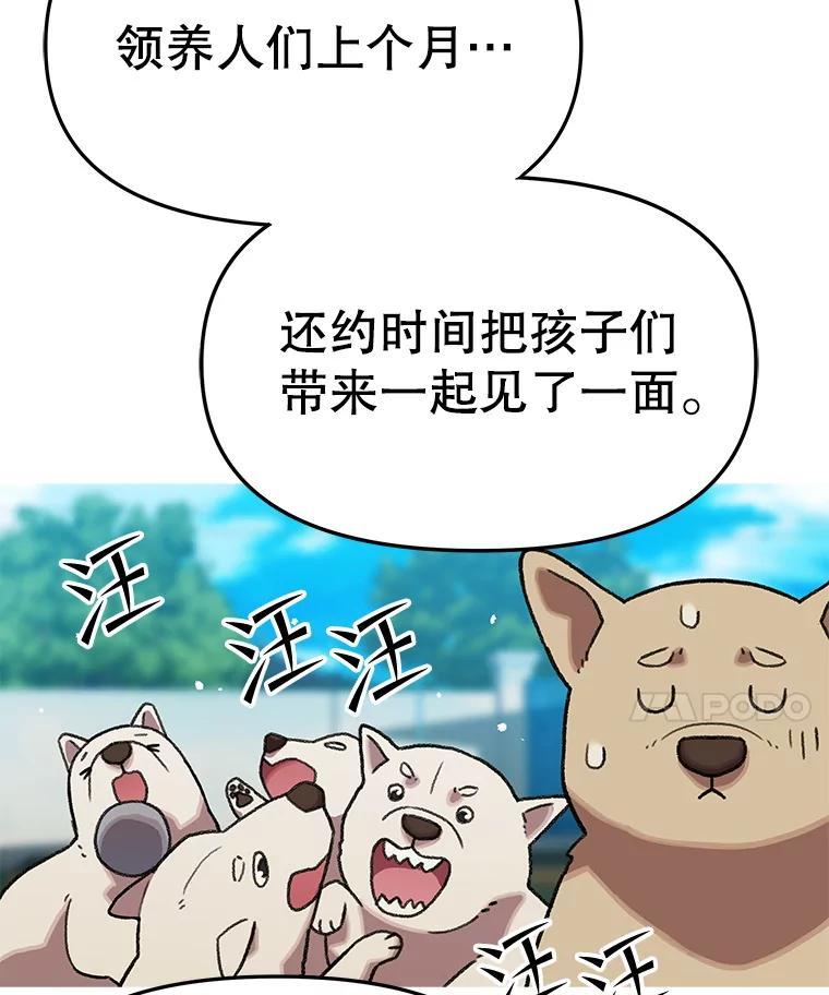 《彩虹桥守望者》144.一起做义工 第12页